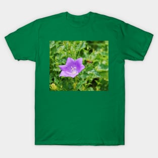 Campanula Carpatica with Bee T-Shirt